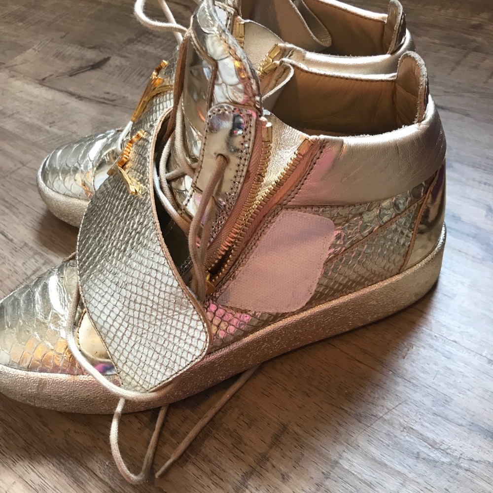 Giuseppe Zanotti - Picture 3 of 7